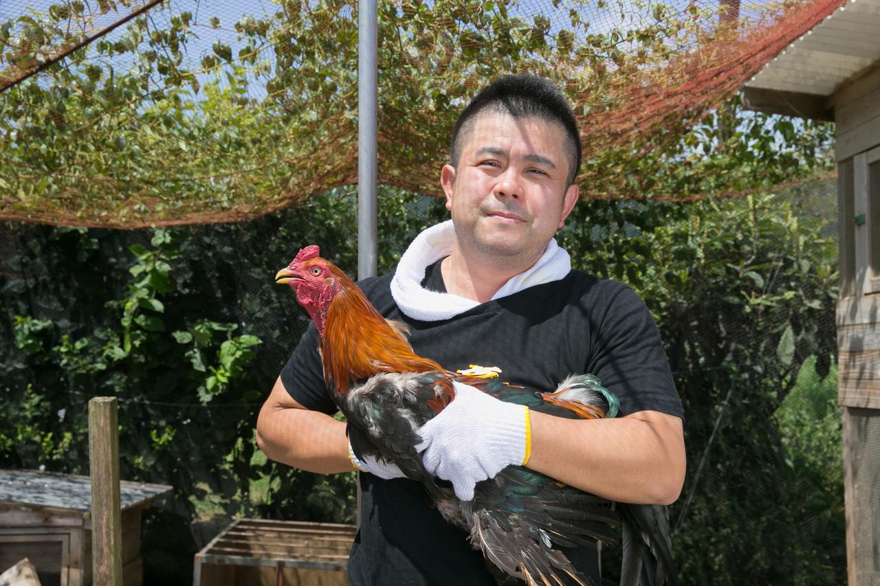 Sazareishi Takashima Hotel Nobeoka Kültér fotó